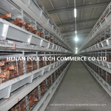 H Type Layer Chicken Cage for Poultry Farm